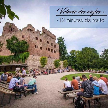 Appart 4 Pers Design Et Cosy Avec Jardin Au Coeur De Selestat Sélestat Exterior foto