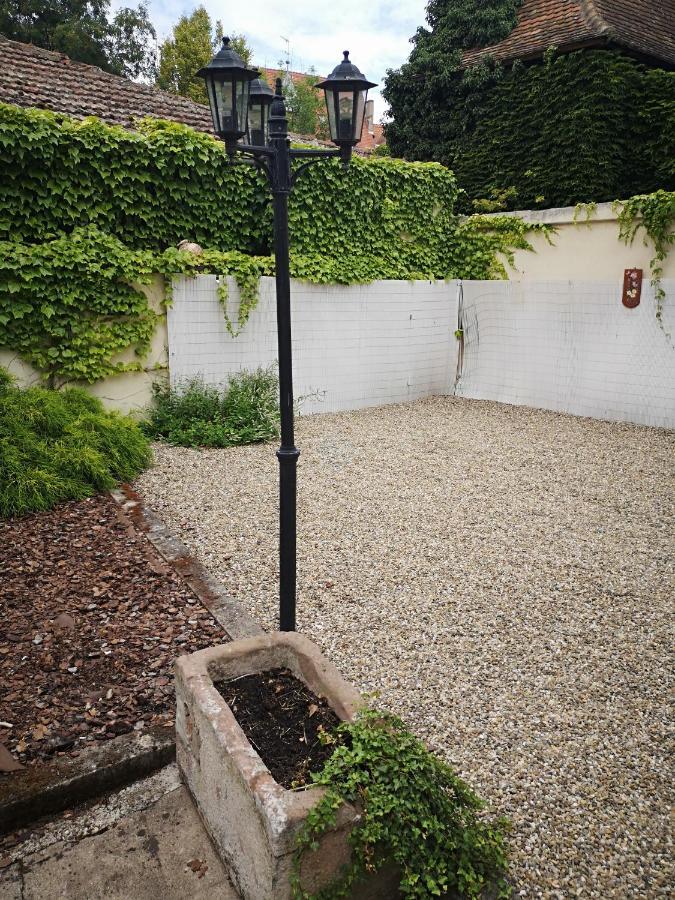 Appart 4 Pers Design Et Cosy Avec Jardin Au Coeur De Selestat Sélestat Exterior foto