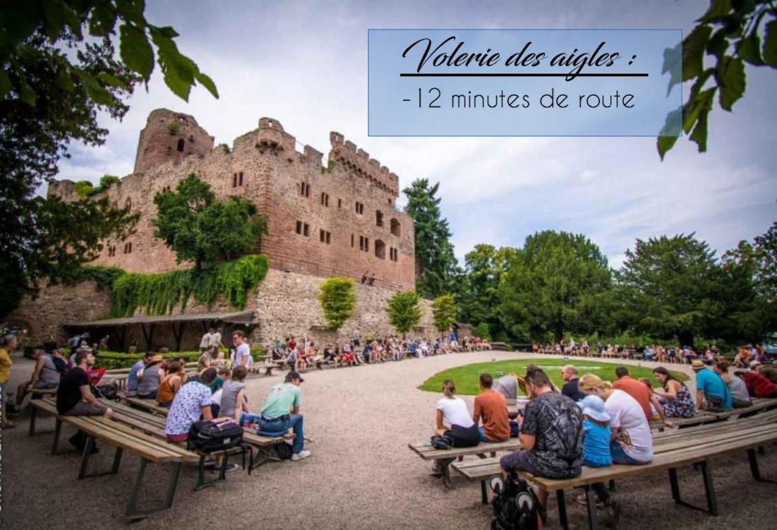 Appart 4 Pers Design Et Cosy Avec Jardin Au Coeur De Selestat Sélestat Exterior foto